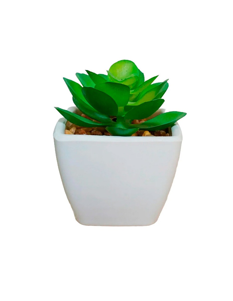 NOTY set 2 Planta Artificial Verde y Blanco - AE