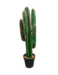 [PL-CARTY-NG] YTAR CACTUS Planta Artificial Verde y Negro - AE