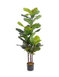 [PL-BAYLOR-NG] ROLYAB Planta Artificial Verde y Negro - AE